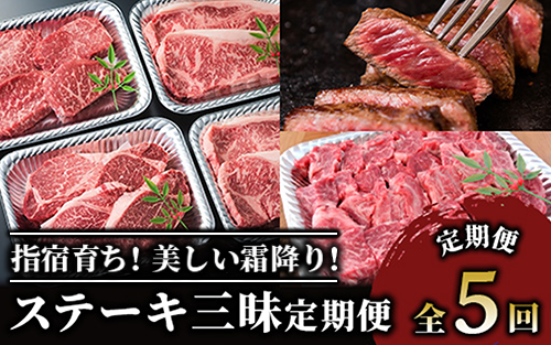 【全５回定期便】 大満足 ステーキ 三昧 定期便 (Meat you/Z-047)  黒毛 姫牛 A4ランク リブロース サーロイン フイレ モモ サイコロステーキ 国産 和牛 牛肉 黒毛和牛