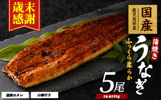【歳末感謝！】【鹿児島県産】うなぎ蒲焼じっくり焼き約165g×5尾 化粧箱入り(大新/037-1106)  うなぎ 国産 鹿児島 蒲焼 丑の日 丑 土用丑の日 
