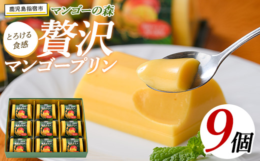 マンゴー農家の贅沢マンゴープリン9個入(マンゴーの森/A-309)