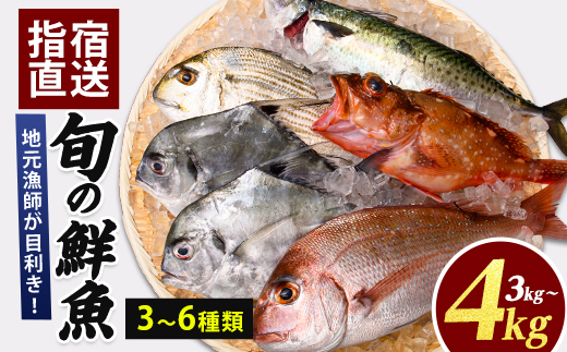 【鮮魚】【指宿産直便】漁師が選ぶ季節の鮮魚便3〜4kg(指宿山川水産/IB035-022)