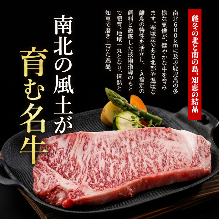 鹿å
å³¶é»çã¢ã¢ã¹ã©ã€ã¹ã»ãã600g(JAãã¶ãã/IB045-001)L1201 黿¯åç åœç£ è çè 赀身 ã¢ã¢ å°åã ããçŒã ãããã ããã¶ããã¶ çããã¶ èåã ã¹ã©ã€ã¹è èåãè å·å çŒããã ãããã åç 鹿å
å³¶ æå®¿ 黿¯ åœç£ç ãè çã¹ã©ã€ã¹ çã¢ã¢
