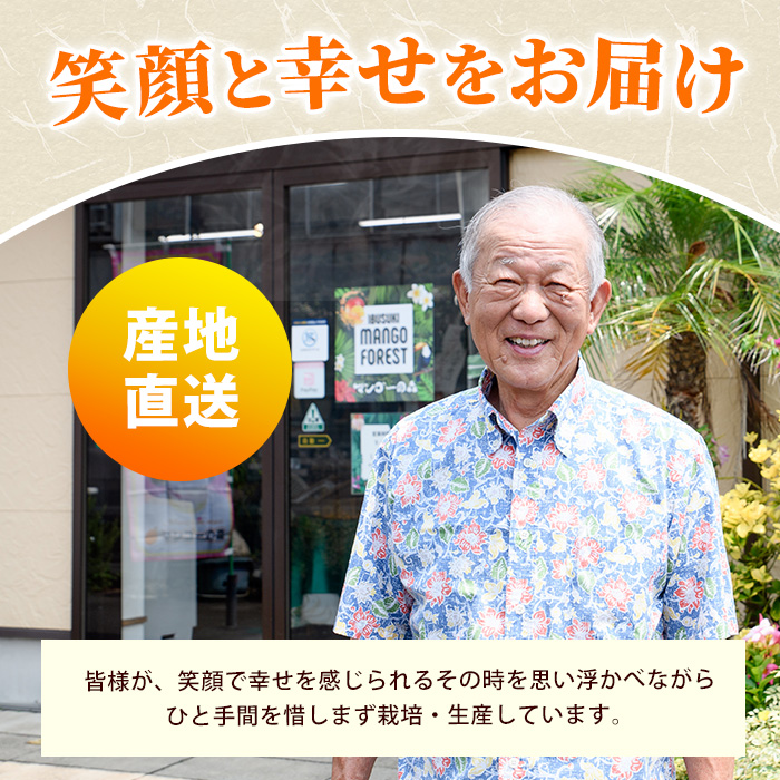 【全５回定期便】ゴロゴロ果肉入りアイス6個入定期便(マンゴーの森/IBZ040-003) アイス フルーツ マンゴー スイーツ シャーベット