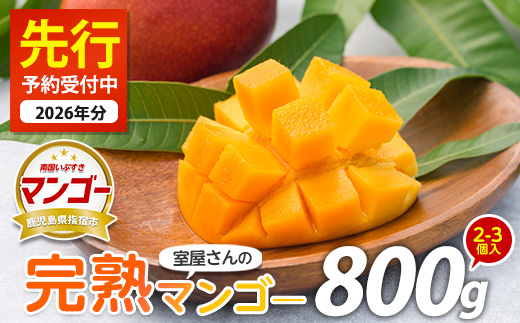 【2026年 発送】室屋さんの完熟指宿産マンゴー約800g 2個～3個入り(中園久太郎商店/IB016-001) マンゴー フルーツ 果物 旬 夏 指宿 いぶすき 鹿児島  完熟  お供え 御供 ギフト 贈り物 プレゼント グルメ 南国 南国フルーツ 果実 マンゴー 太陽 国産 鹿児島県産 果汁