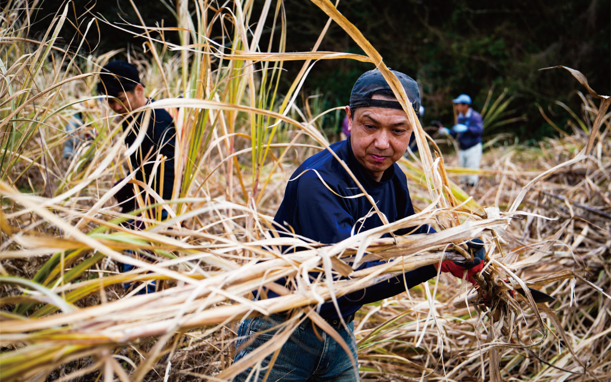 【鹿児島県産黒糖使用】国産クラフトラム ACOU RUM WHITE 500ml(大山甚七商店/010-509) ESSE ふるさと グランプリ 2023 金賞 授賞 ホワイトラム ラム カクテル オーガニック 黒糖 国産 いぶすき アコウ モヒート お酒