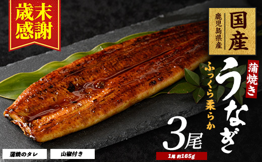 [歳末感謝!][鹿児島県産]うなぎ蒲焼じっくり焼き約165g×3尾 化粧箱入り(大新/023-1105) うなぎ 国産 鹿児島 蒲焼 丑の日 丑 土用丑の日