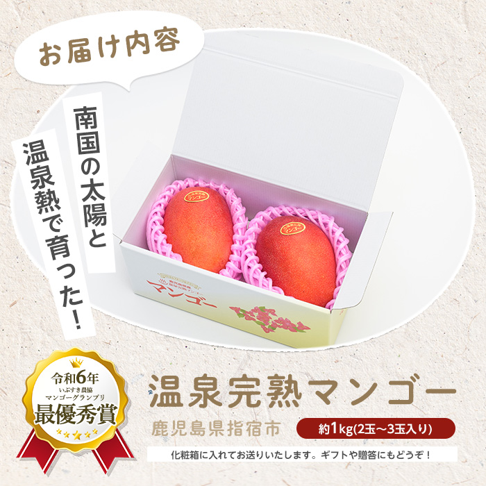 ã2026幎 çºé å
è¡äºçŽã鹿å
å³¶çãã¶ããç£ æž©æ³å®çãã³ãŽãŒçŽ1kg(T&P/IB057-003) ãã³ãŽãŒ ãã«ãŒã æç© æ¬ å€ æå®¿ ãã¶ãã 鹿å
å³¶ å®ç ãäŸã åŸ¡äŸ ã®ãã èŽãç© ãã¬ãŒã³ã ã°ã«ã¡ äºçŽ å
è¡äºçŽ ååœ ååœãã«ãŒã æå® ãã³ãŽãŒ å€ªéœ åœç£ 鹿å
å³¶çç£ ææ±