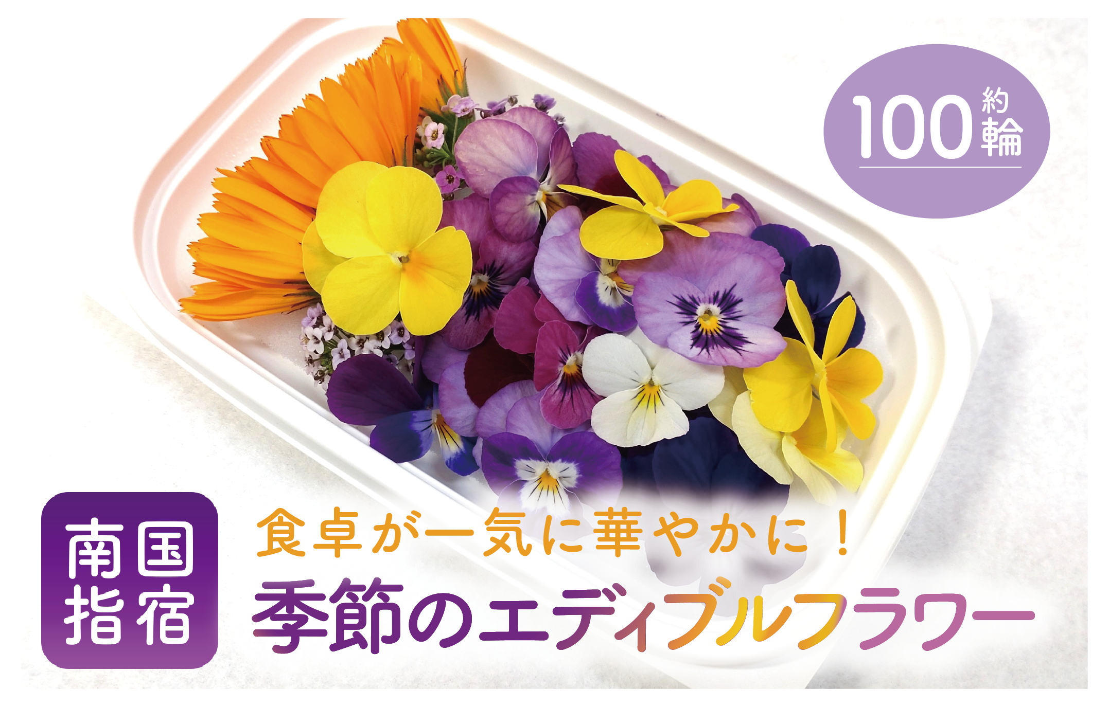 季節のエディブルフラワー(約100輪)(MICHI-FARM/IB125-001) 花 食べられる花 食用花 エディブル フラワー 彩り 旬 飾り トッピング