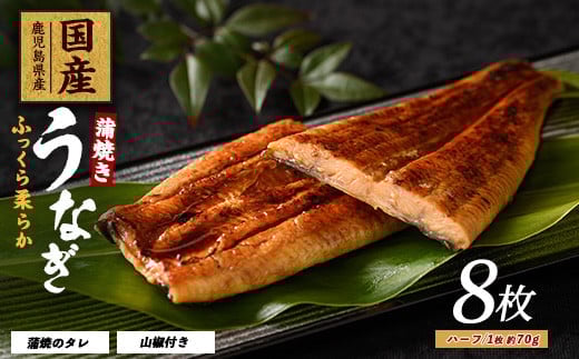 【2025年12月21日までのご入金で年内発送】【鹿児島県産】うなぎ蒲焼じっくり焼きハーフカット約70g×8枚 化粧箱入り(大新/031-1904) 鰻 ウナギ 蒲焼 国産 丑の日 うな重 無頭 ギフト プレゼント 贈り物 贈答 惣菜 総菜 小分け レンジ 簡単 蒲焼き ハーフサイズ 冷凍 鹿児島県産