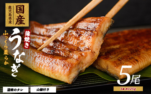 【2025年12月21日までのご入金で年内発送】【鹿児島県産】うなぎ蒲焼じっくり焼き約125g×5尾 化粧箱入り(大新/026-1903) 鰻 ウナギ 蒲焼 国産 丑の日 うな重 無頭 ギフト プレゼント 贈り物 贈答 惣菜 総菜 小分け レンジ 簡単 蒲焼き 冷凍 鹿児島県産