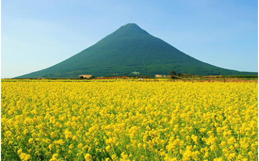 ≪返礼品なし≫鹿児島県指宿市への応援寄附金(1口：5,000円)005-155