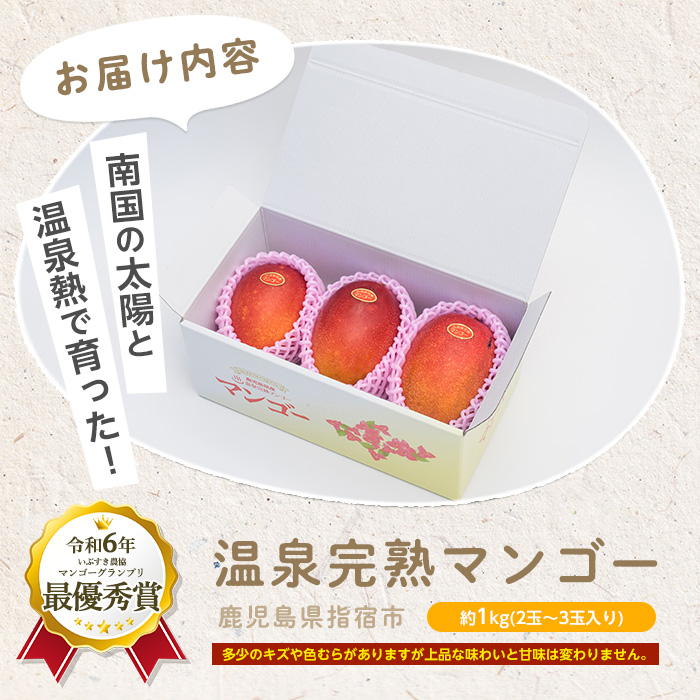 【2026年 発送 先行予約】【訳あり】鹿児島県いぶすき産 温泉完熟マンゴー約1kg(T&P/IB057-001) マンゴー フルーツ 果物 旬 夏 指宿 いぶすき 鹿児島  完熟  グルメ 南国 南国フルーツ 果実 マンゴー 太陽 国産 鹿児島県産