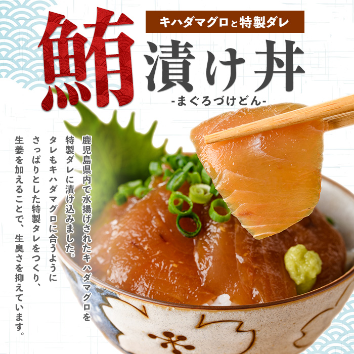 【全３回定期便】海鮮のっけ丼定期便(指宿山川水産/Z030-1662) マグロ 漬け丼 真鯛 茶漬け 30パック 指宿市 国産 海鮮丼 海鮮