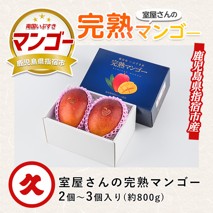 【2026年 発送】室屋さんの完熟指宿産マンゴー約800g 2個～3個入り(中園久太郎商店/IB016-001) マンゴー フルーツ 果物 旬 夏 指宿 いぶすき 鹿児島  完熟  お供え 御供 ギフト 贈り物 プレゼント グルメ 南国 南国フルーツ 果実 マンゴー 太陽 国産 鹿児島県産 果汁