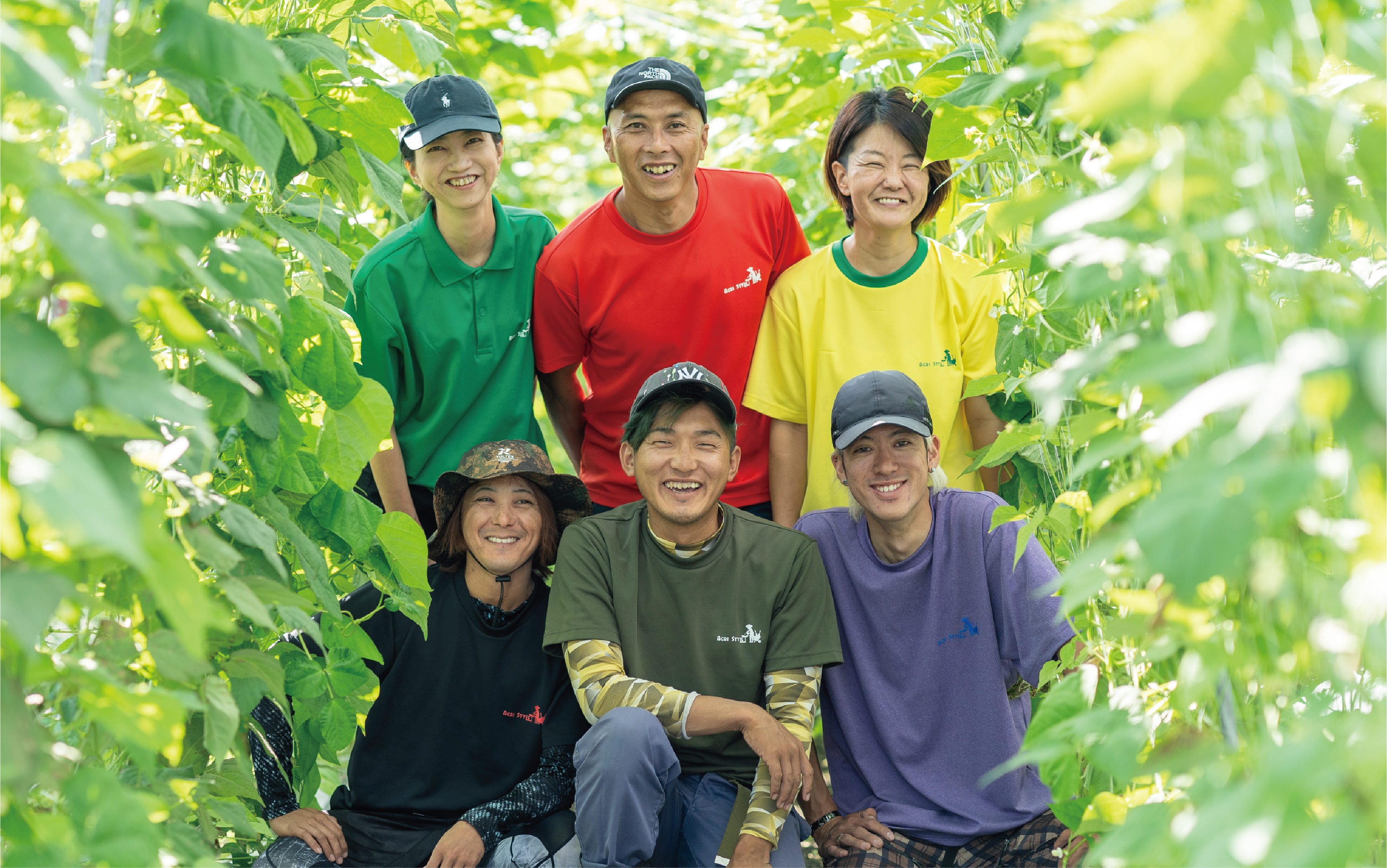 【2026年1月中旬〜発送】さや付きそら豆約4kgとスナップエンドウ約1kgのセット(アグリスタイル/022-1213) そらまめ ソラマメ えんどう 野菜 旬 サラダ 冬 指宿 鹿児島