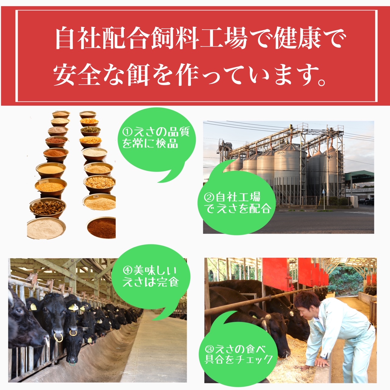 鹿児島県産5等級黒毛和牛薄切りしゃぶ焼500g(水迫畜産/010-543)23-GP4 国産 肉 牛 和牛 ステーキ しゃぶしゃぶ 鍋 すきやき 霜降り ギフト 贈答用 プレゼント 鹿児島 いぶすき 