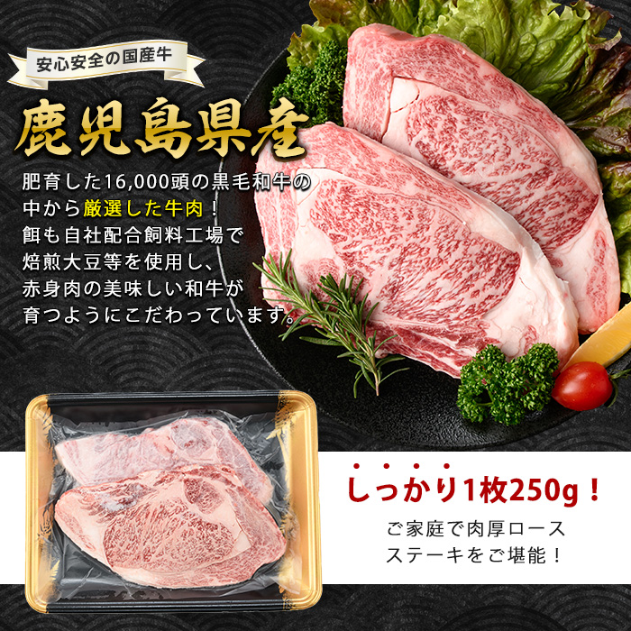 鹿児島産黒毛和牛A5ロースステーキ500g+黒豚生ハム1P(水迫畜産/019-1721) 肉 牛 牛肉 ステーキ 国産 バーベキュー いぶすき 鹿児島