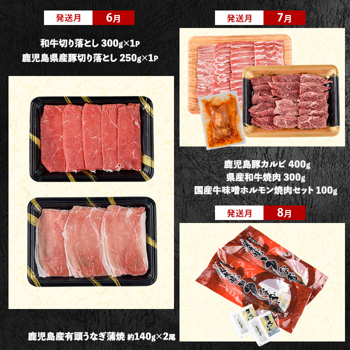 【2026年発送 先行予約】【全１０回定期便】鹿児島自慢の豚・牛・うなぎ 満足定期便(水迫畜産/Z100-528) 国産 鹿児島県産 ウナギ 鰻 牛肉 豚肉 肉 牛 豚 生ハム うなぎ蒲焼 蒲焼 蒲焼き すきやき すき焼き 生姜焼き 合いびき 合挽 味付 和牛 黒豚 いぶすき ホルモン カルビ ハンバーグ 切り落とし 焼肉 しゃぶしゃぶ ステーキ ソーセージ 指宿 鹿児島 頒布会 定期