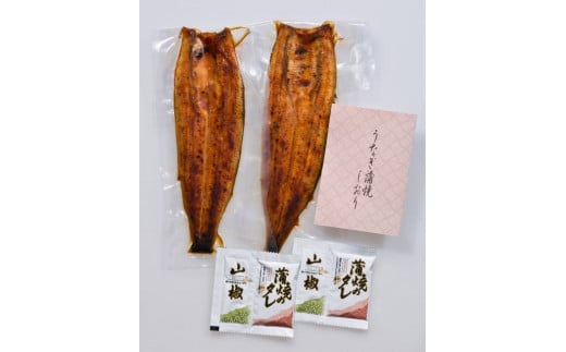 鹿å
å³¶ç£å³éžããªãè²çŒã»ãã2å°Ÿ(æå®¿å±/IB023-003)åœç£ é°» æå®¿åž
