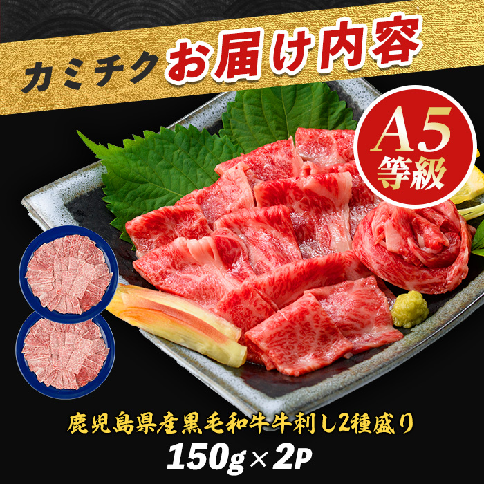 「まるで大トロ！とろけるくちどけ」A5等級鹿児島県産黒毛和牛牛刺し2種盛り300g(カミチク/IB112-007)ふるさと納税 指宿市 特産品 国産 個包装 牛肉 肉 焼肉 牛握り 炙り 寿司 ユッケ