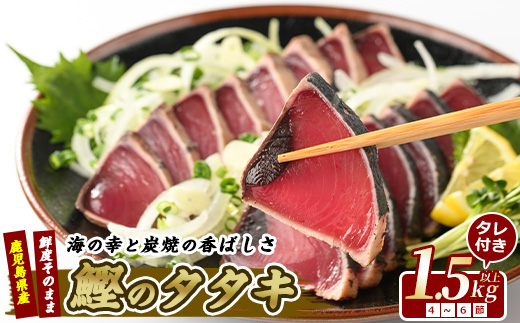 【 カツオ の たたき だしポン酢付き！】 カツオ 堪能 セット (指宿食品/012-1038) かつおのたたき 冷凍 海鮮 魚介 魚介類 海鮮丼 魚 カツオ かつお 鰹 たたき かつおのたたき 冷凍 刺身 お刺身 お造り 海鮮 魚介 魚介類 海鮮丼 魚 カツオ かつお 鰹 たたき かつおのたたき カツオのたたき 冷凍