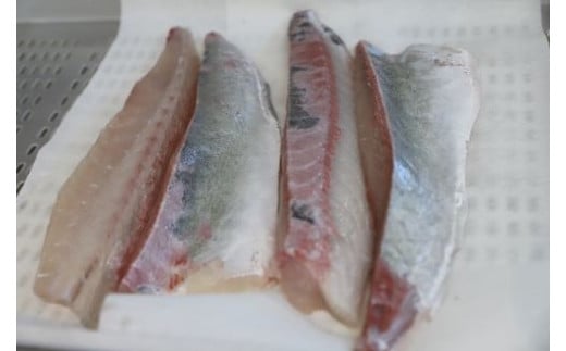 縲宣ョョ鬲壹第欠螳ソ逕」 闖懊ョ闃ア縺九s縺ア縺。1蟆セ(謖螳ソ螻ア蟾晄ーエ逕」/IB035-001)