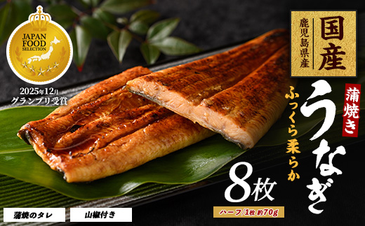 【鹿児島県産】うなぎ蒲焼じっくり焼きハーフカット約70g×8枚 化粧箱入り(大新/031-1904) 鰻 ウナギ 蒲焼 国産 丑の日 うな重 無頭 ギフト プレゼント 贈り物 贈答 惣菜 総菜 小分け レンジ 簡単 蒲焼き ハーフサイズ 冷凍 鹿児島県産