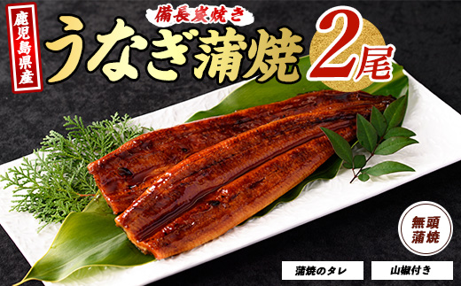 【2025年12月18日までのご入金で年内発送】鹿児島県産うなぎ蒲焼 無頭背開き2尾(奈良/012-1667) ウナギ 鰻 うなぎ 国産 うなぎ蒲焼 蒲焼 かば焼き 蒲焼き かばやき 土用の丑の日 丑の日 うな丼 うな重 鹿児島県産 鹿児島産 指宿 いぶすき 長焼き 真空パック たれ