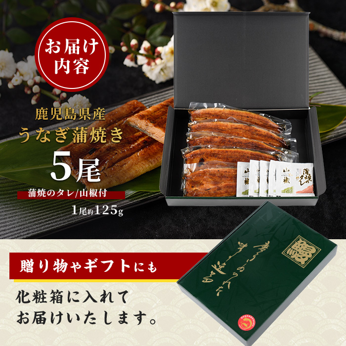 ã鹿å
å³¶çç£ãããªãè²çŒãã£ããçŒãçŽ125gÃ5å°Ÿ åç²§ç®±å
¥ã(倧æ°/026-1903) é°» ãŠãã® è²çŒ åœç£ äžã®æ¥ ããªé ç¡é ã®ãã ãã¬ãŒã³ã èŽãç© èŽç æ£è ç·è å°åã ã¬ã³ãž ç°¡å è²çŒã å·å 鹿å
å³¶çç£