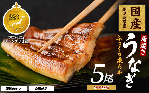 【鹿児島県産】うなぎ蒲焼じっくり焼き約125g×5尾 化粧箱入り(大新/026-1903) 鰻 ウナギ 蒲焼 国産 丑の日 うな重 無頭 ギフト プレゼント 贈り物 贈答 惣菜 総菜 小分け レンジ 簡単 蒲焼き 冷凍 鹿児島県産