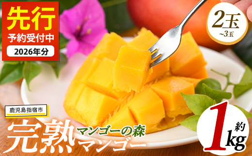 【2026年 発送】しあわせ完熟マンゴー2〜3玉入り(マンゴーの森/022-1769) マンゴー フルーツ 果物 旬 夏 指宿 いぶすき 鹿児島  完熟  お供え 御供 ギフト 贈り物 プレゼント グルメ 予約 先行予約 南国 南国フルーツ 果実 マンゴー グランプリ マイスター 太陽 国産 鹿児島県産 果汁