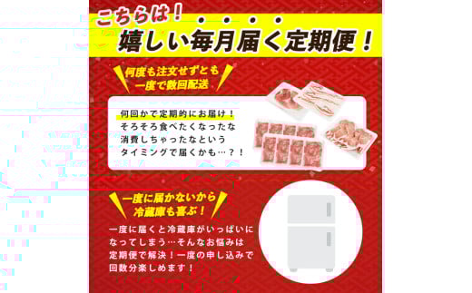 【全３回定期便】かごしま黒豚バラエティ定期便(岡村商店/IBZ024-003) 鹿児島 黒豚 黒ぶた 豚肉 豚 肉 お肉 バラ モモ ロース ウデ しゃぶしゃぶ とんかつ 切り落とし 切落し 小分け 冷凍 定期便 約3.2?