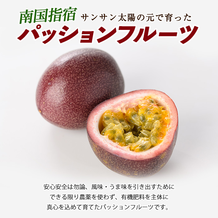 【2026年 発送】パッションフルーツ10玉〜14玉(マンゴーの森/IB040-010) 鹿児島 国産 指宿市 トロピカルフルーツ 南国フルーツ 果実 果肉 果物 ビタミン 農家直送  パッションフルーツ パッションフルーツジュース