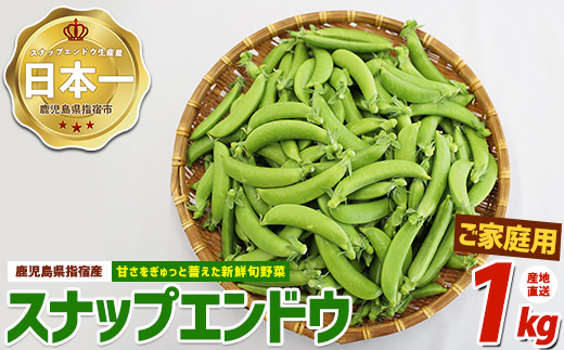 【産地直送！新鮮旬野菜！】ご家庭用スナップエンドウ約1kg(指宿促成青果/IB092-001) スナップ エンドウ 野菜 旬 旬野菜 春 サラダ 天ぷら 炒め物 新鮮 指宿 鹿児島 いぶすき
