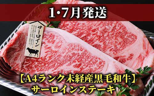 【全３回定期便】黒毛姫牛ステーキ定期便(Meatyou/IBZ029-002)牛肉 和牛 鹿児島県産 国産