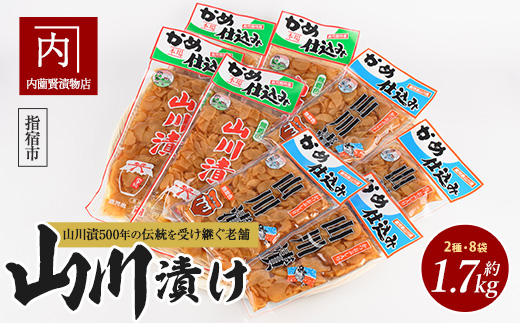 老舗「内薗賢漬物店」の本場山川漬セット(活お海道/010-1936) 鹿児島 指宿 山川 漬物 つけもの お漬物 おつけもの やまがわ 山川漬 野菜 詰め合わせ セット お茶うけ お弁当 おかず 国産 ご飯のお供 ごはんのおとも だいこん 大根