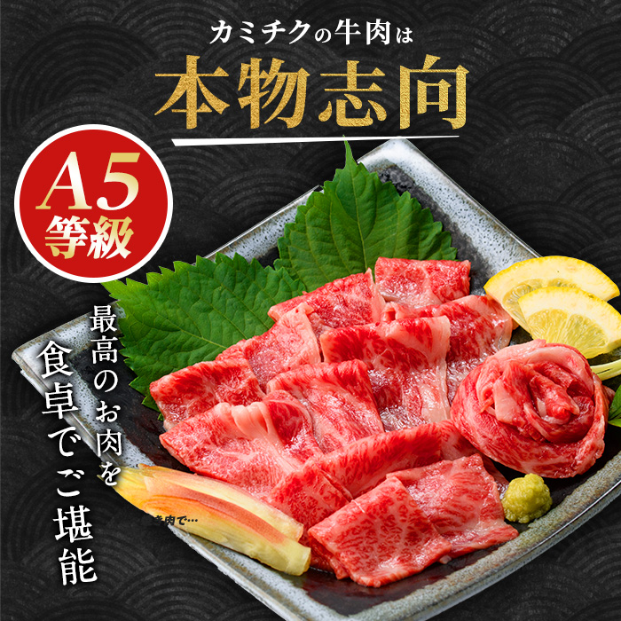 「まるで大トロ！とろけるくちどけ」A5等級鹿児島県産黒毛和牛牛刺し2種盛り300g(カミチク/IB112-007)ふるさと納税 指宿市 特産品 国産 個包装 牛肉 肉 焼肉 牛握り 炙り 寿司 ユッケ