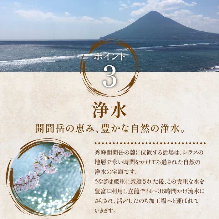 【全３回定期便】鹿児島産うなぎ堪能定期便(奈良/IBZ020-002) 国産 鰻 小分け 鹿児島 蒲焼 丑の日 いぶすき
