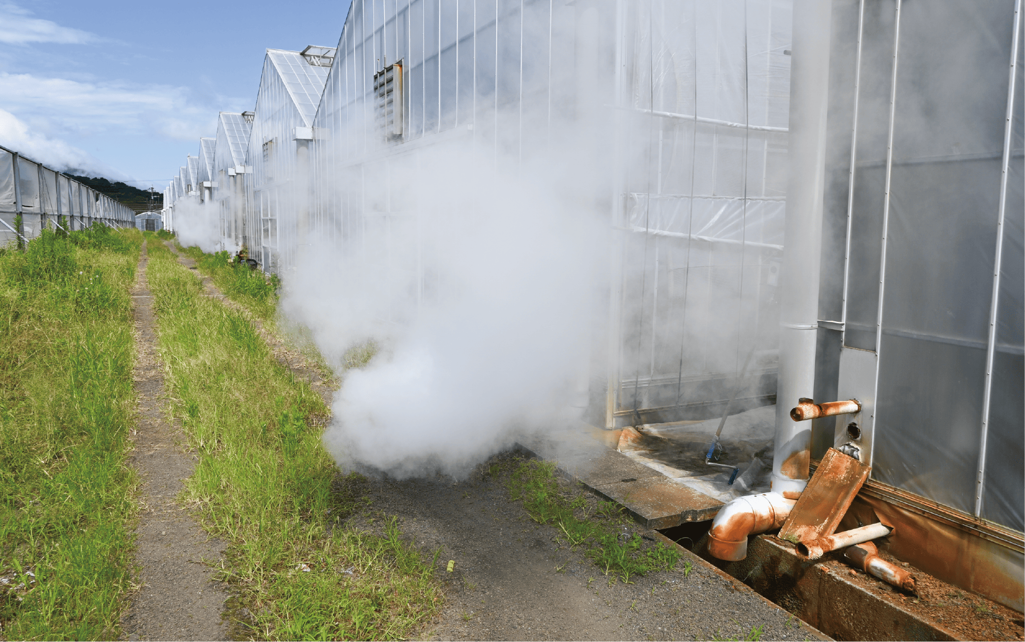 ã2026幎 çºéãïŒèš³ããïŒå°äžããæ¹§ãåºãæž©æ³ãšèžæ°ç±ãå©çšæ œå¹ããæž©æ³å®çãã³ãŽãŒçŽ1kg(ãããã«ã«ãã¡ãŒã ãã¶ãã/016-1764) ãã³ãŽãŒ ãã«ãŒã æç© ãã ãã® æ¬ å€ æå®¿ ãã¶ãã 鹿å
å³¶