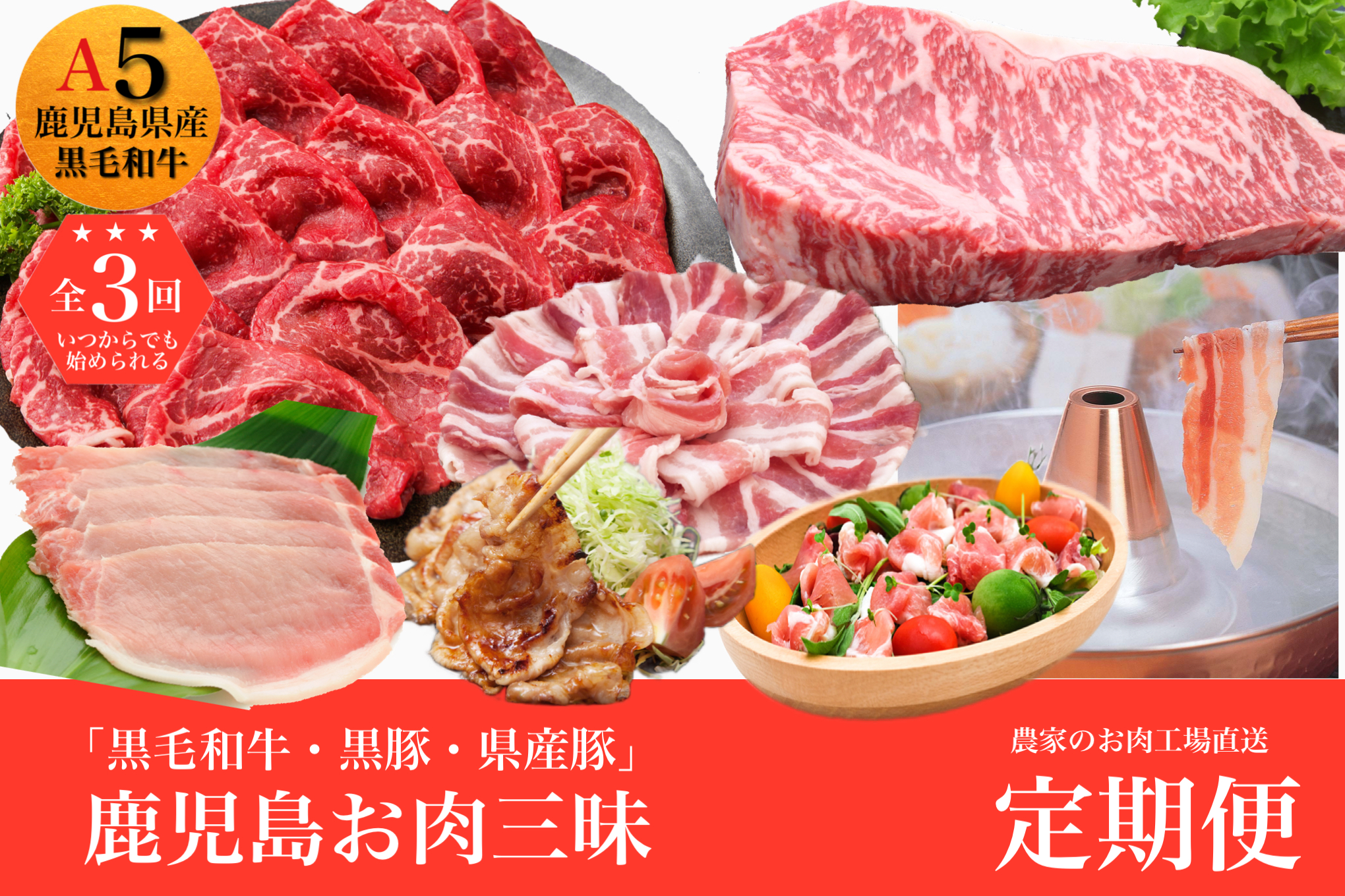 【全３回定期便】鹿児島お肉三昧定期便 農家のお肉工場直送！(水迫畜産/Z030-548)M19 肉 牛 牛肉 豚 黒豚 生ハム 切り落とし すき焼き しゃぶしゃぶ 生姜焼き ロース バラ サーロイン 薄切り 鹿児島 いぶすき