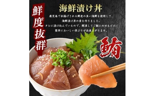 マグロ漬け丼100g×10袋(山川町漁協/010-1857) 海鮮 鮪 まぐろ マグロ マグロ漬け丼 マグロ丼 まぐろ丼 漬け丼 丼 のっけ丼 海鮮丼 惣菜 総菜 簡単 調理済み セット 漁協 指宿 山川 指宿鰹節 鹿児島 国産 魚 人気  冷凍 小分け 一人暮らし 食品