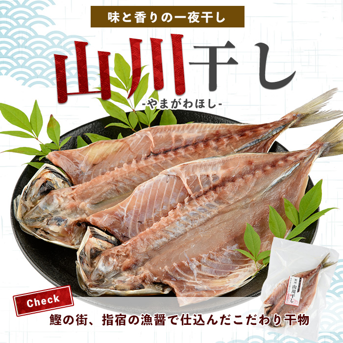 漁師が作った美味しい山川干物セット(指宿山川水産/IB035-021)