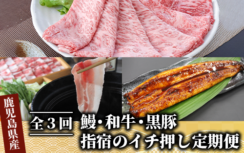 【全３回定期便】鰻・和牛・黒豚 指宿のイチ押し定期便(Z055-294)国産 うなぎ 牛肉 豚肉