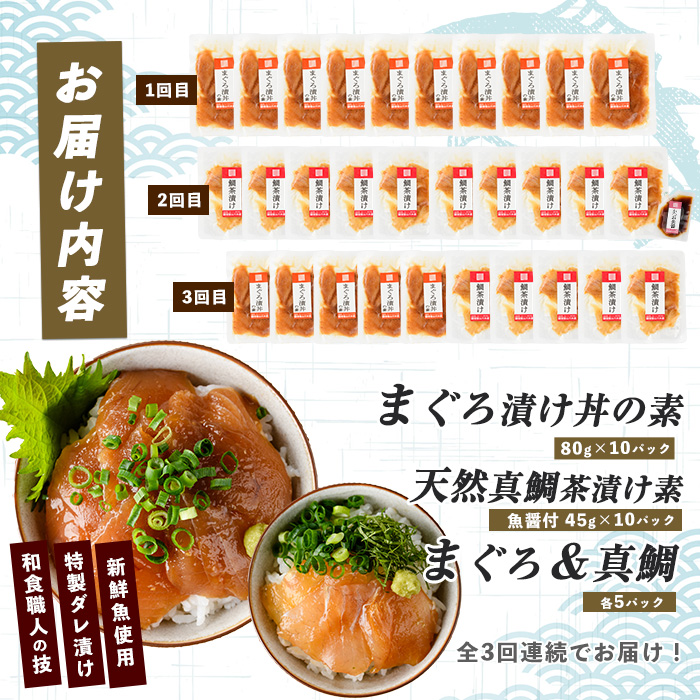 【全３回定期便】海鮮のっけ丼定期便(指宿山川水産/Z030-1662) マグロ 漬け丼 真鯛 茶漬け 30パック 指宿市 国産 海鮮丼 海鮮