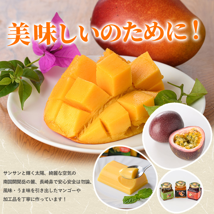 【全５回定期便】ゴロゴロ果肉入りアイス10個入定期便(マンゴーの森/IBZ040-002) アイス フルーツ マンゴー スイーツ シャーベット