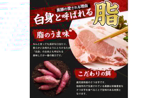 【全３回定期便】かごしま黒豚バラエティ定期便(岡村商店/IBZ024-003) 鹿児島 黒豚 黒ぶた 豚肉 豚 肉 お肉 バラ モモ ロース ウデ しゃぶしゃぶ とんかつ 切り落とし 切落し 小分け 冷凍 定期便 約3.2?