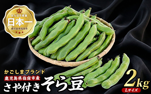 【2026年 発送】指宿産サヤ付そらまめLサイズ約2kg(岡村商店/IB024-017) 鹿児島県 そらまめ ソラマメ そら豆 豆 旬 指宿市 春 野菜 サラダ おつまみ