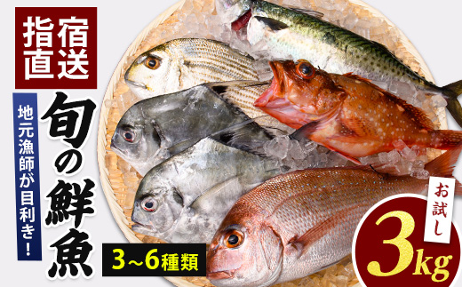 【指宿産直便】漁師が選ぶ季節の鮮魚便 お試しセット(指宿山川水産/A-227) 鹿児島 魚 鮮魚 魚介 旬 お刺身 お寿司 煮付 料理 国産