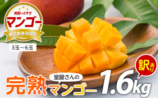 【2026年 発送】室屋さんの完熟マンゴー(訳あり品)約1.6kg 3～6玉(中園久太郎商店/017-1760) マンゴー フルーツ 果物 旬 夏 指宿 いぶすき 鹿児島  完熟  お供え 御供 ギフト 贈り物 プレゼント グルメ 南国 南国フルーツ 果実 マンゴー 太陽 国産 鹿児島県産 果汁