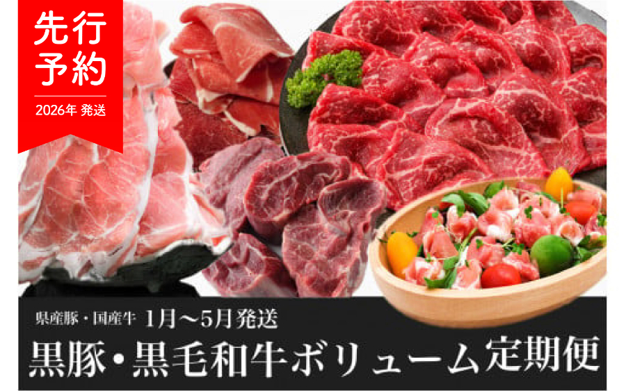 【2026年発送 先行予約】【全５回定期便】黒豚 ・ 黒毛 和牛 ボリューム 定期便 1月〜5月発送(水迫畜産/Z050-531) 牛 豚 肉 牛肉 豚肉 黒毛和牛 鹿児島県産 黒豚 生ハム 切り落とし カレー シチュー 肉 国産 いぶすき 鹿児島 指宿 頒布会 定期 定期便 肉じゃが 生姜焼き 家庭用