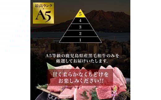 A5等級鹿児島県産黒毛和牛サーロインステーキスティック250g(カミチク/IB112-012)